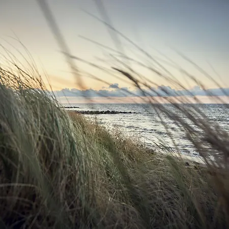 Gold Ii Fehmarn